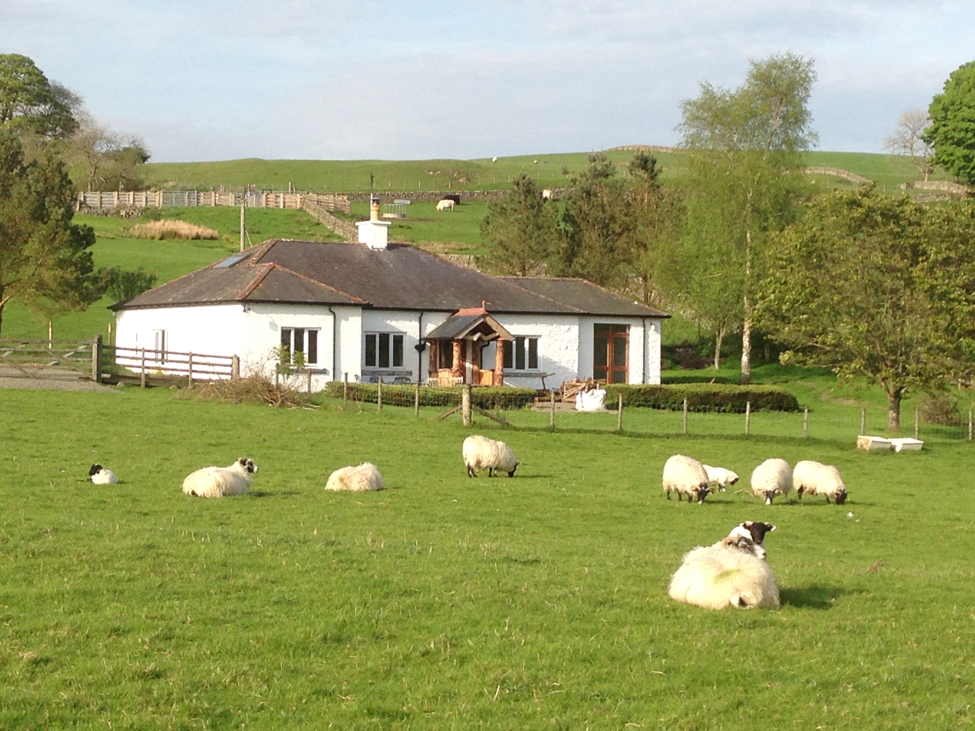 Longshot Cottage - Gallery