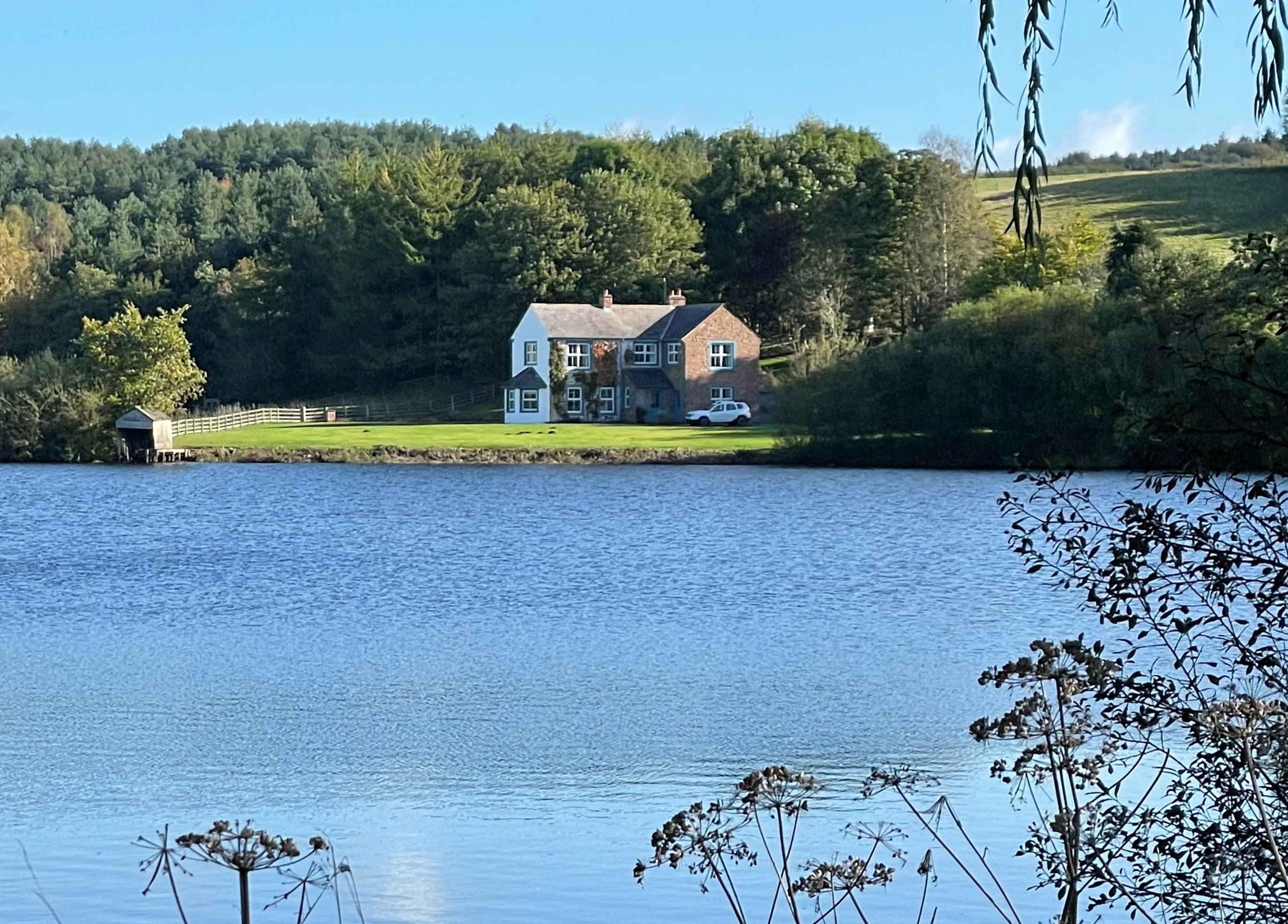 Abbott Moss - Gallery