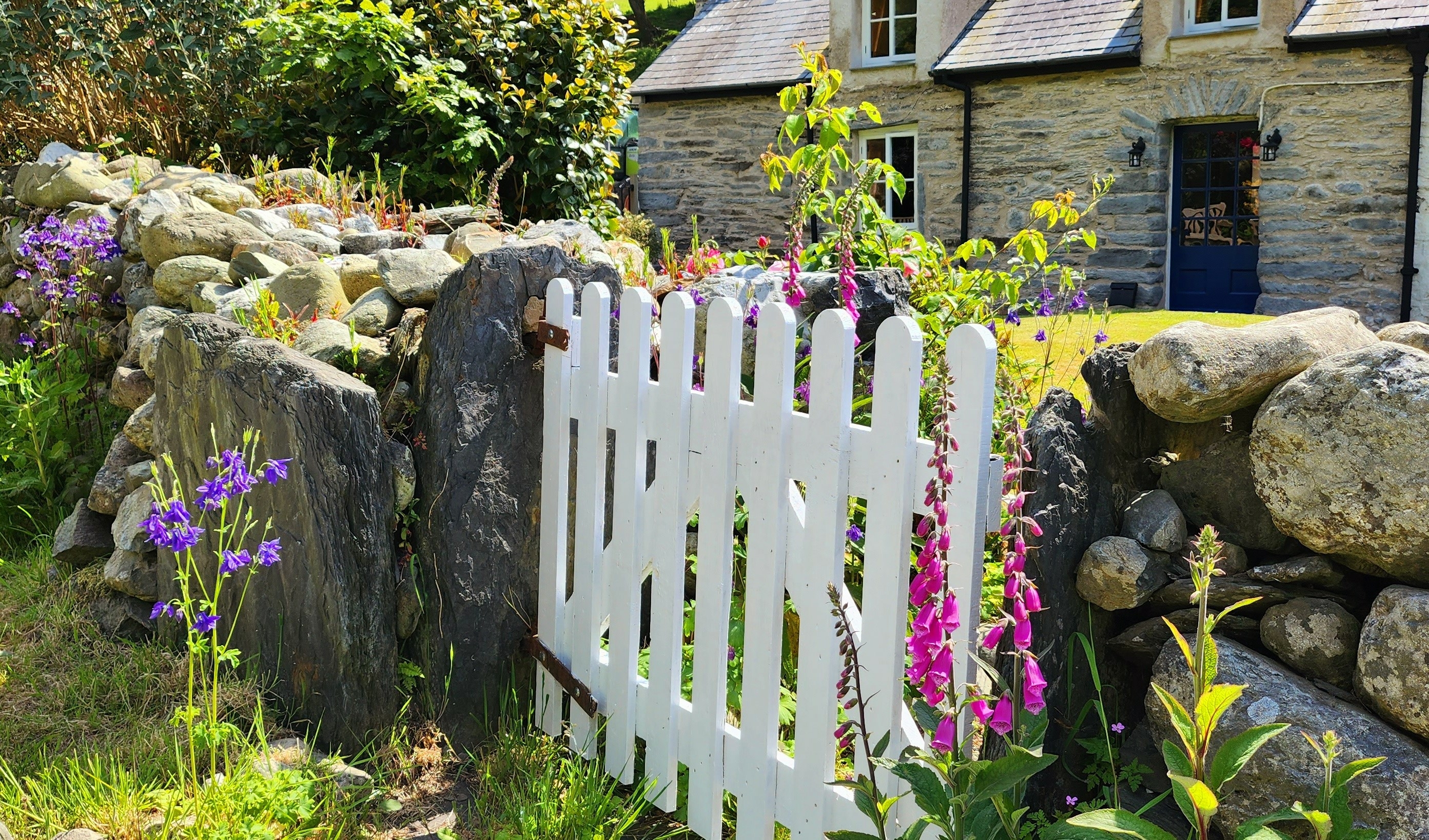 Glan Cader - Gallery