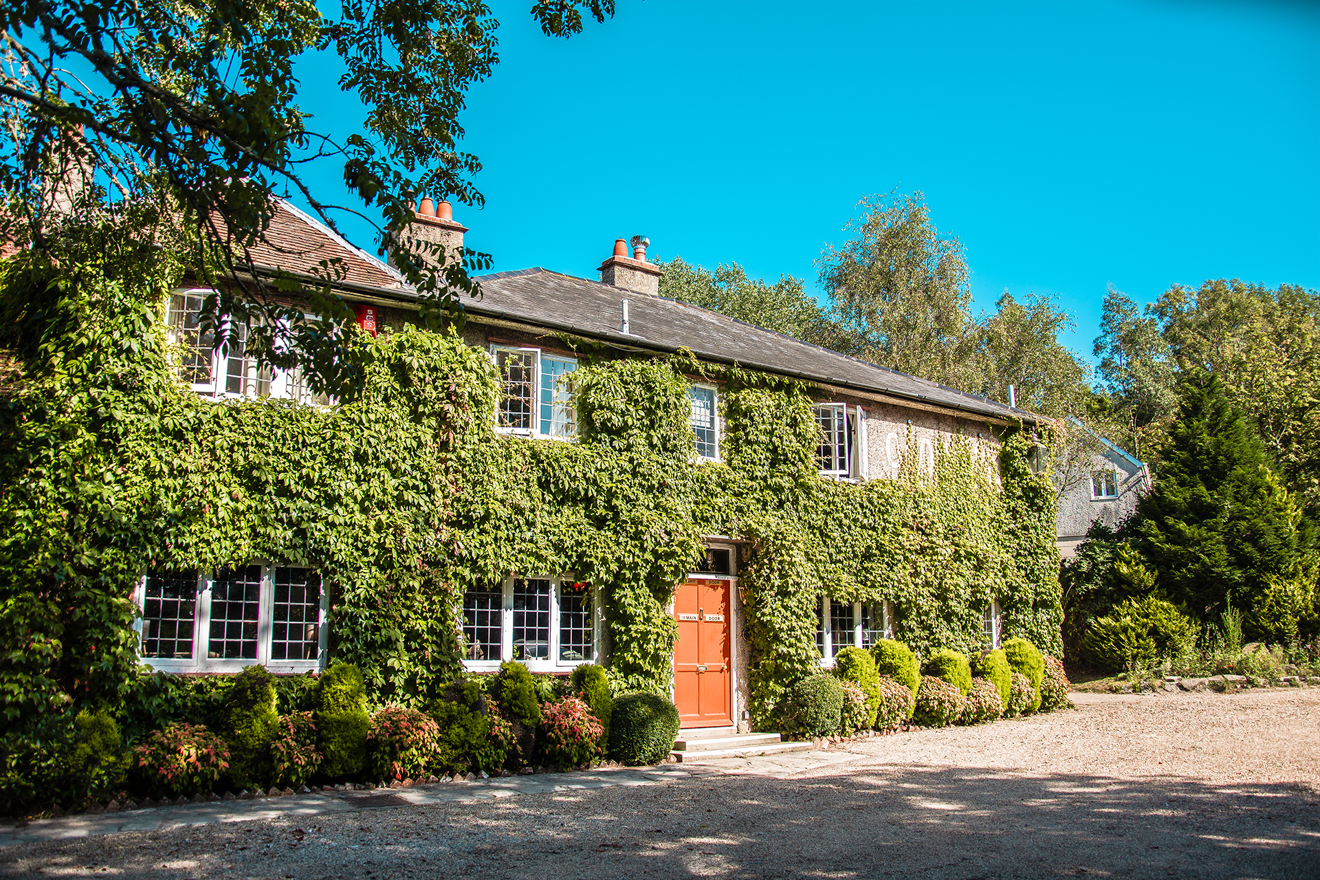 The Old Mill - Gallery