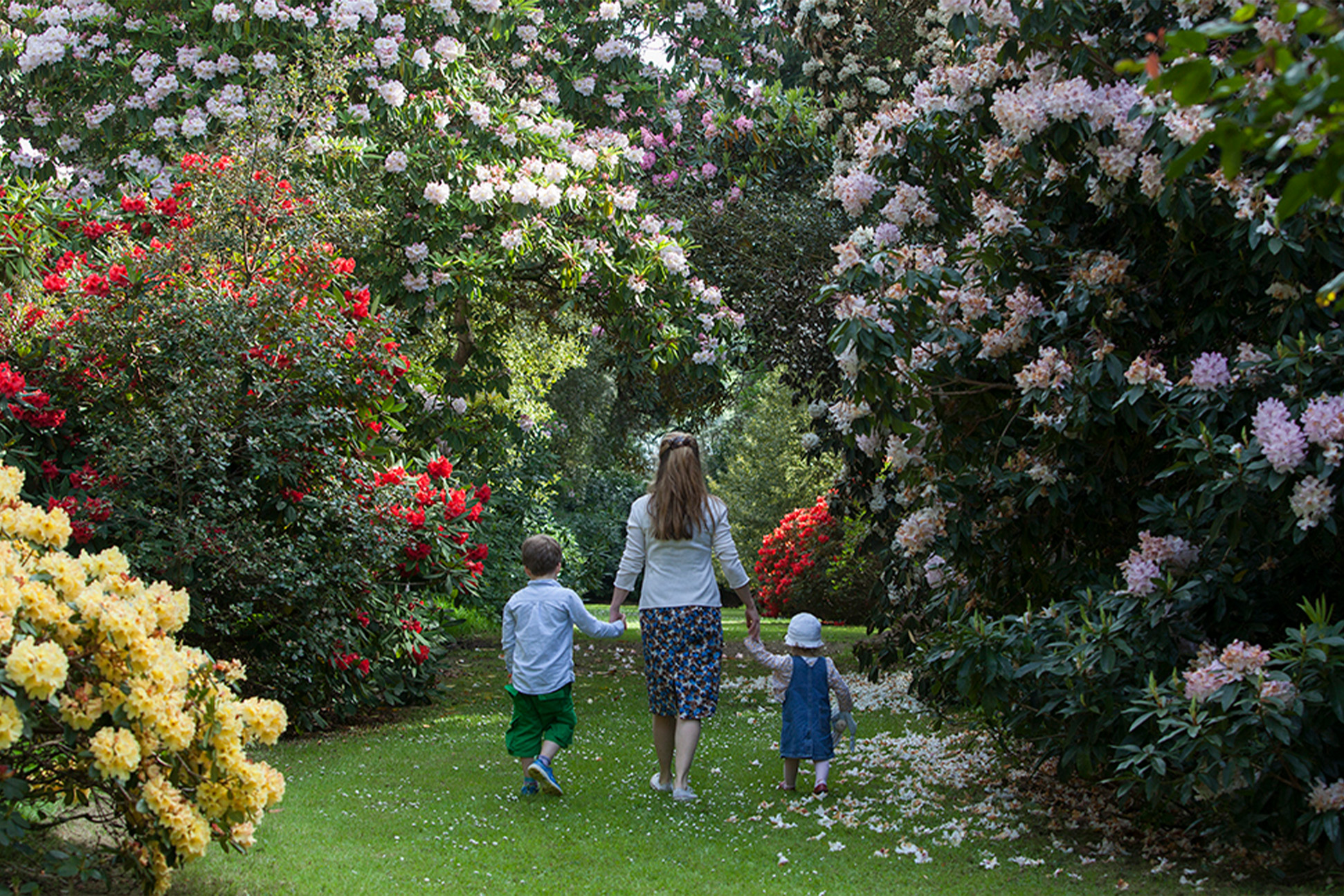 Lochinch Castle Cottages