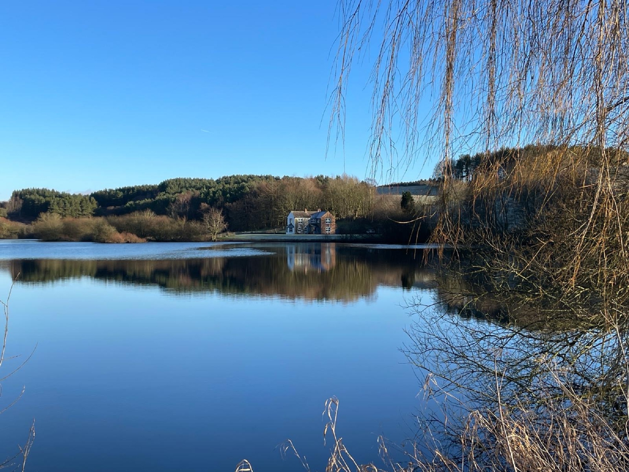 Abbott Moss - Gallery