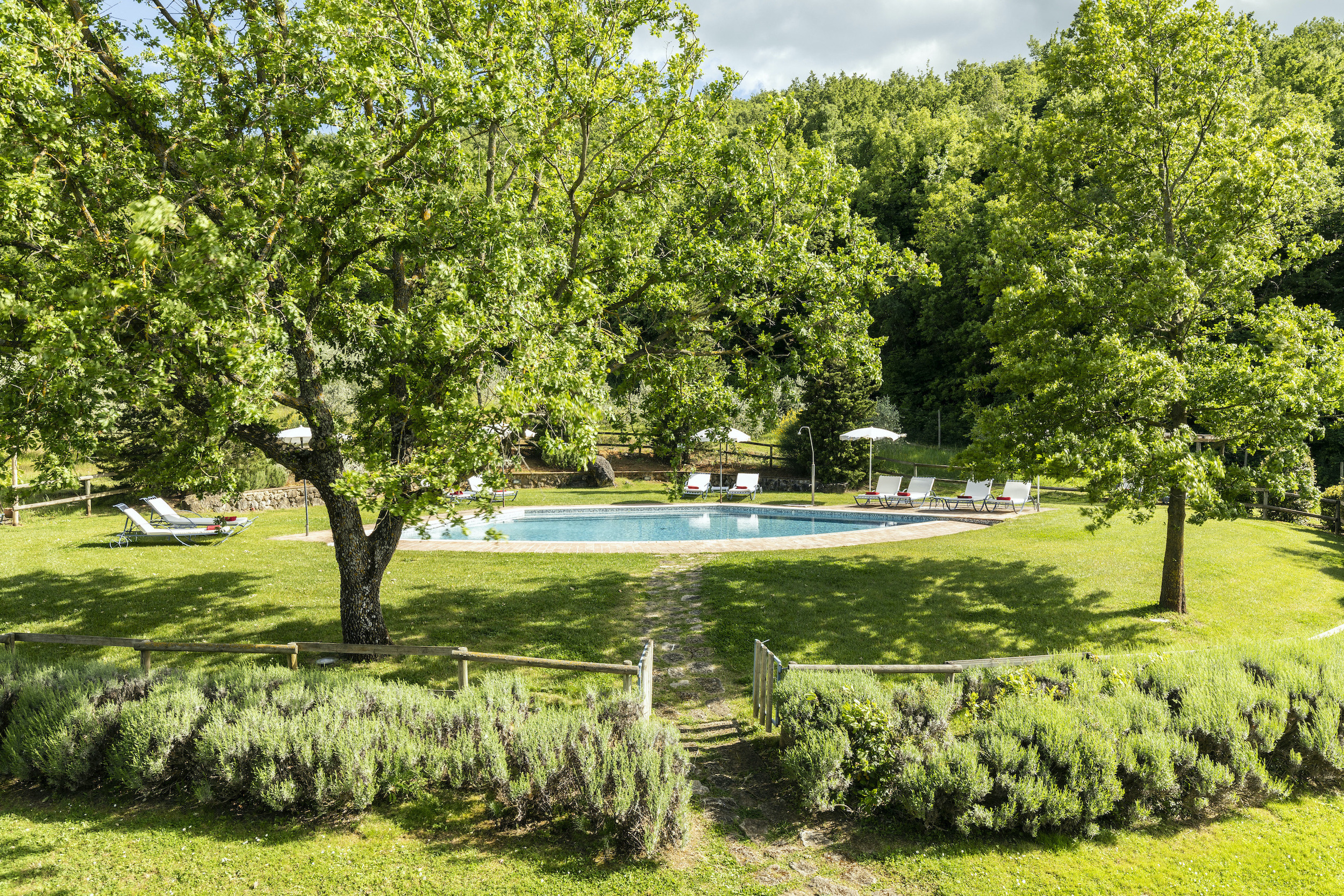 Podere Monti - Gallery