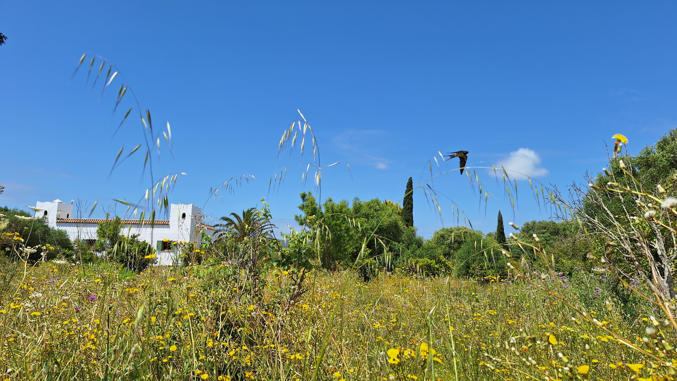 Finca El Sueño - Gallery