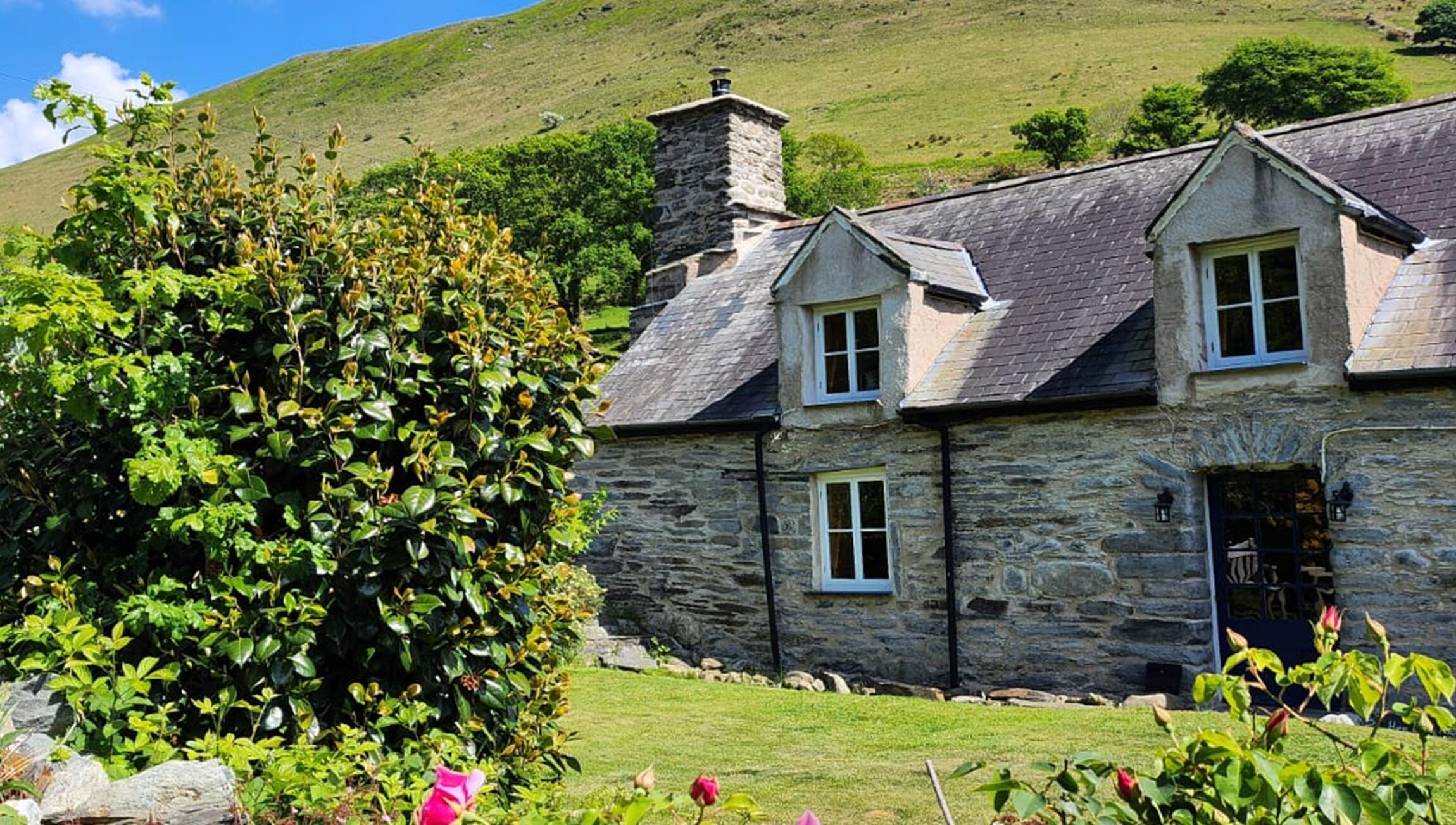 Glan Cader - Gallery