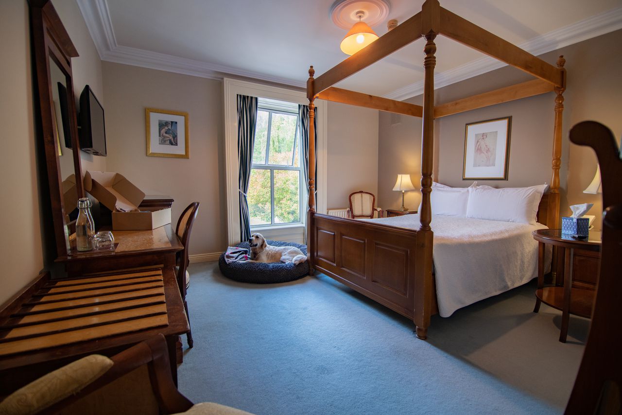 Dog-friendly place to stay in Dublin, Ireland