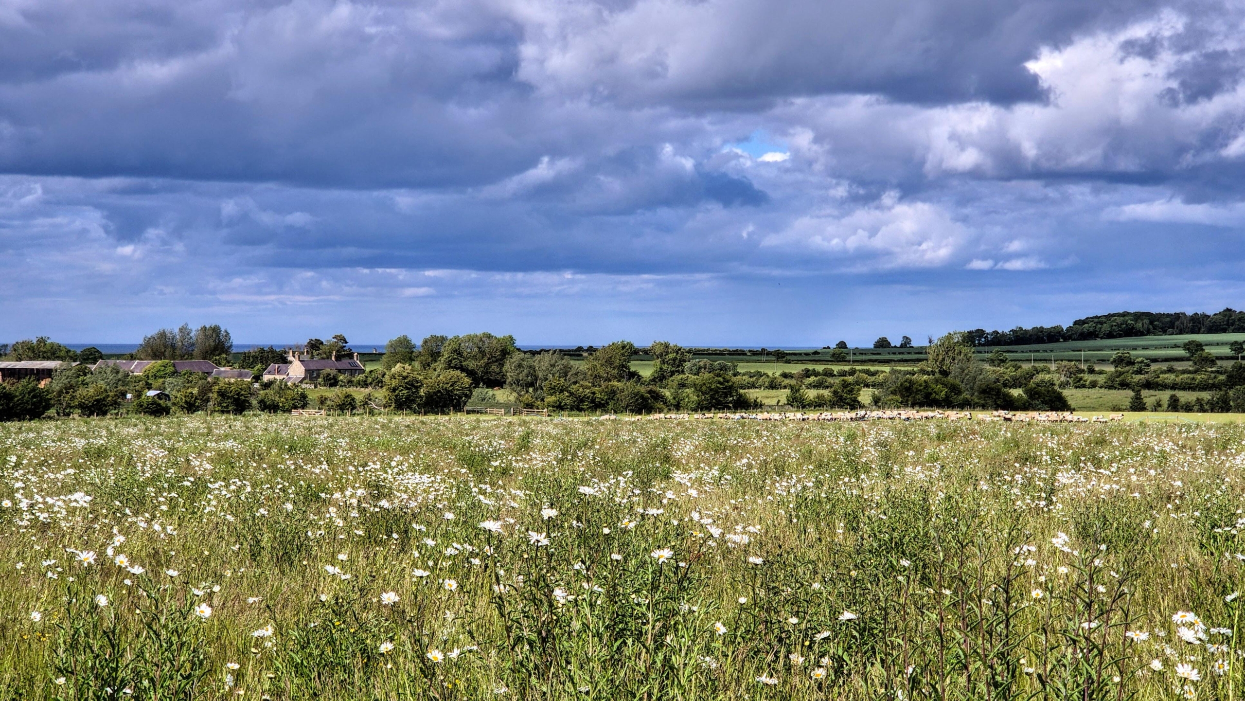 The Fuffins at Hunting Hall - Gallery