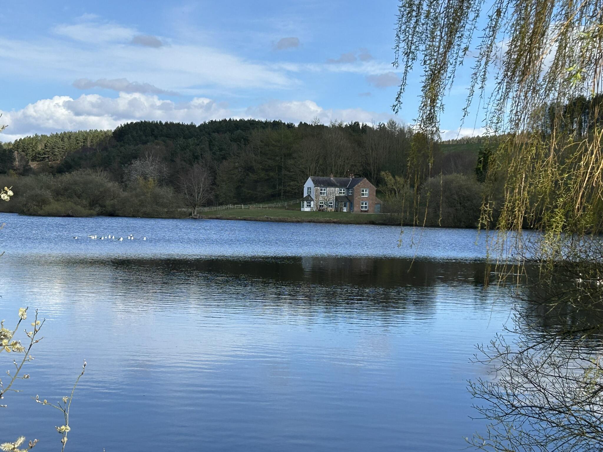 Abbott Moss - Gallery