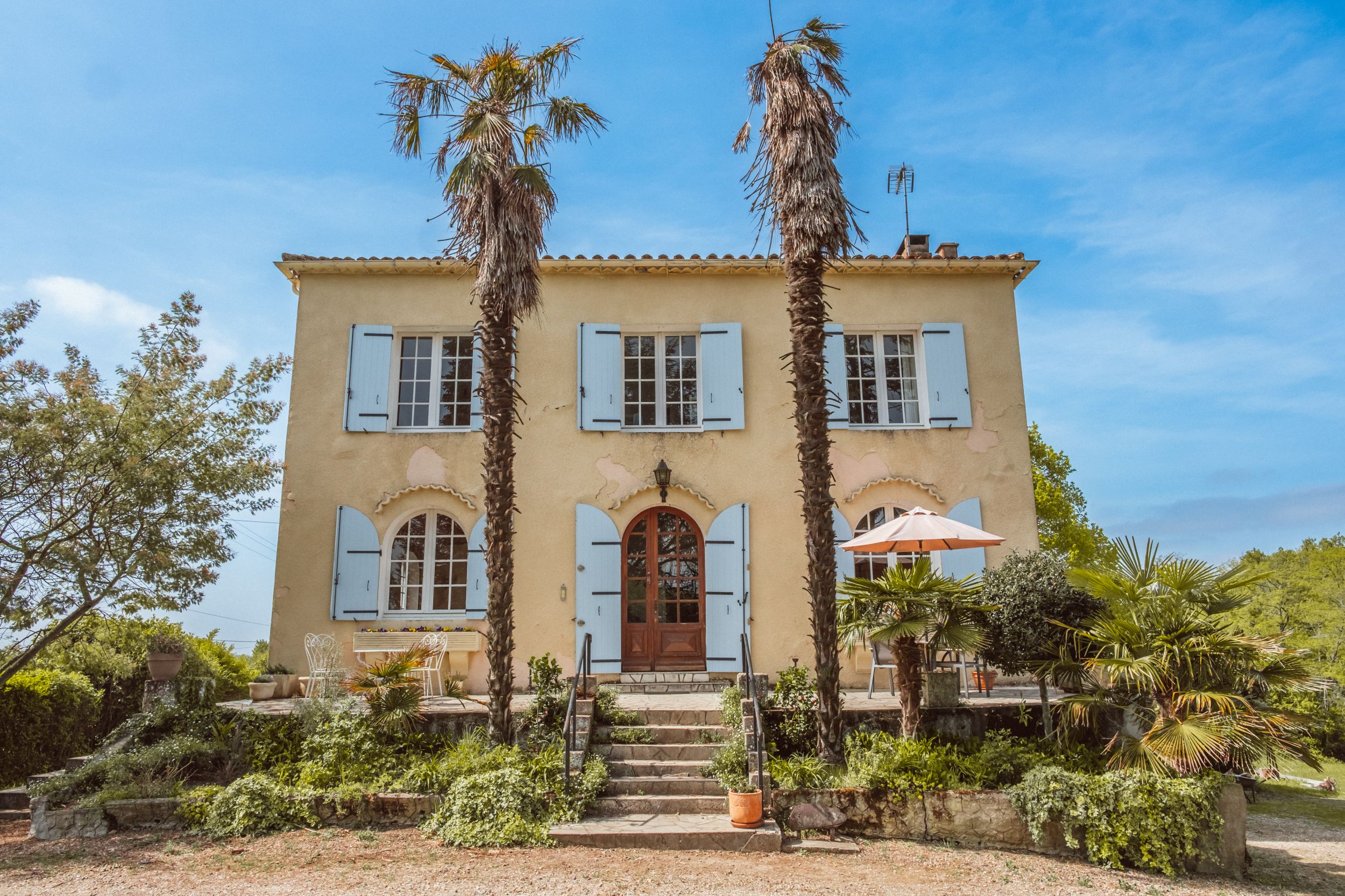 Le Beau Pierre - Gallery