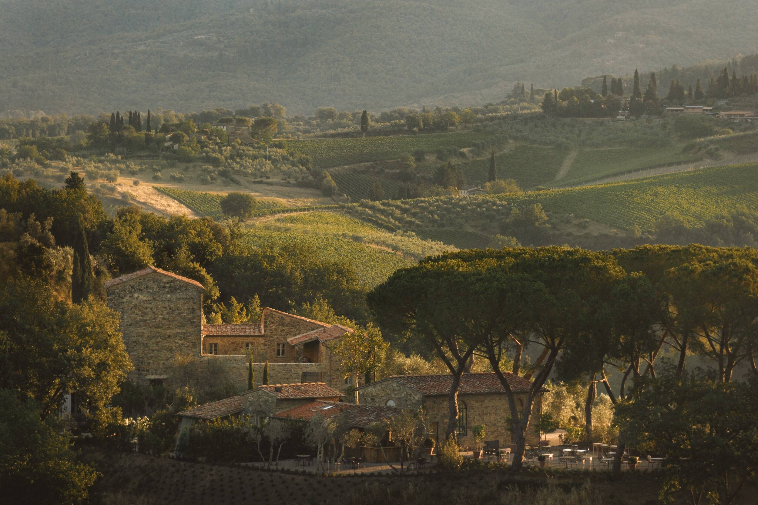 La Darbia in Chianti - Gallery
